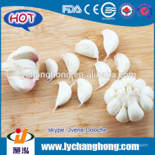 Fresh White Garlic 5 cm with loose packing 10kg/ctn